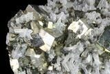 Cubic Pyrite and Quartz Crystal Association - Peru #142650-2